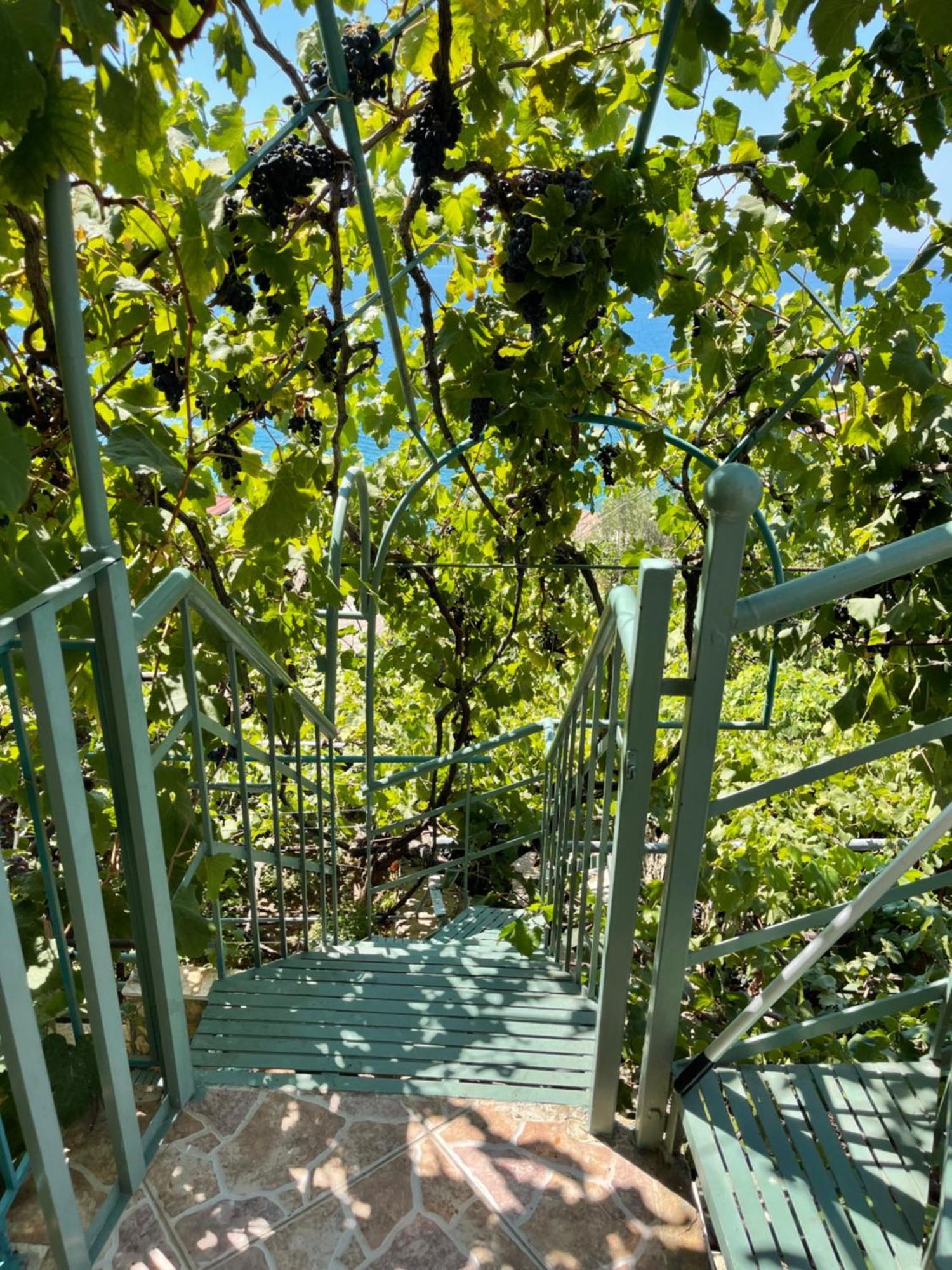 Apartment Sevilia