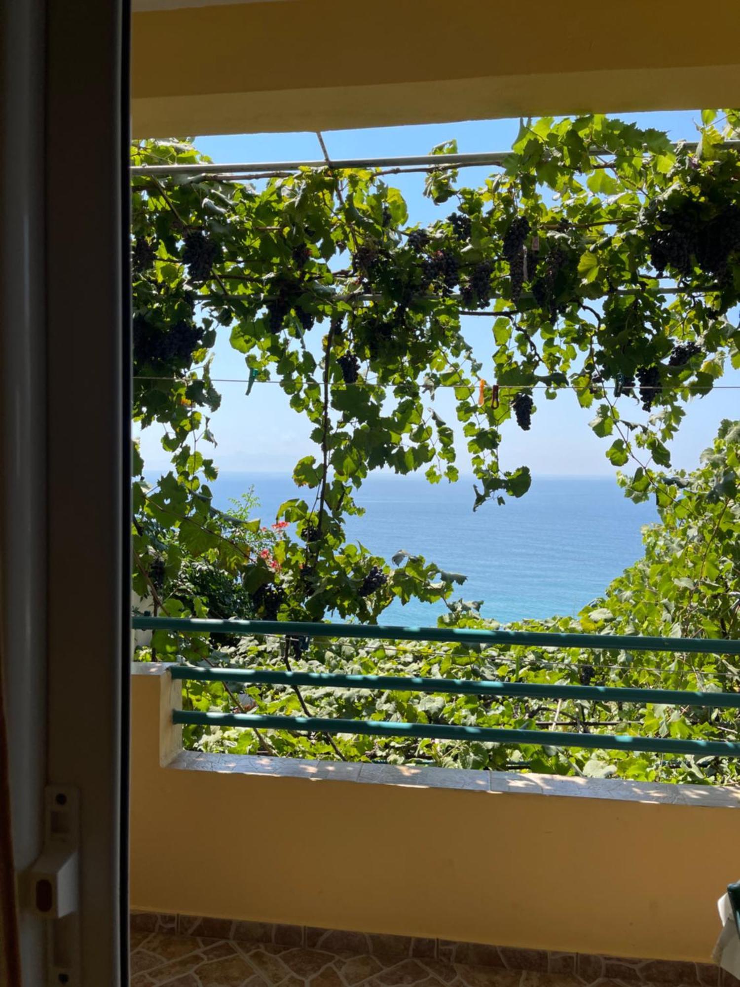 Sevilia * Qeparo