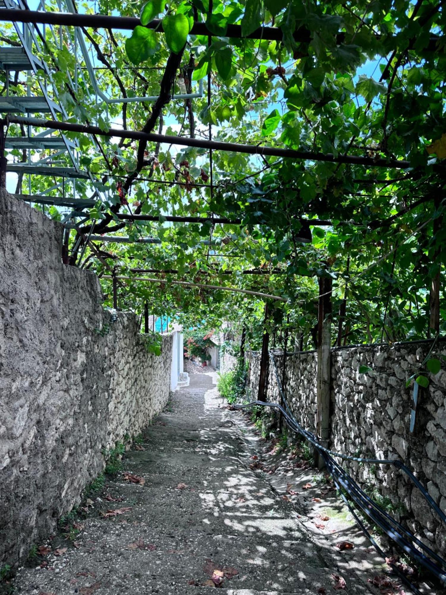 Sevilia * Qeparo